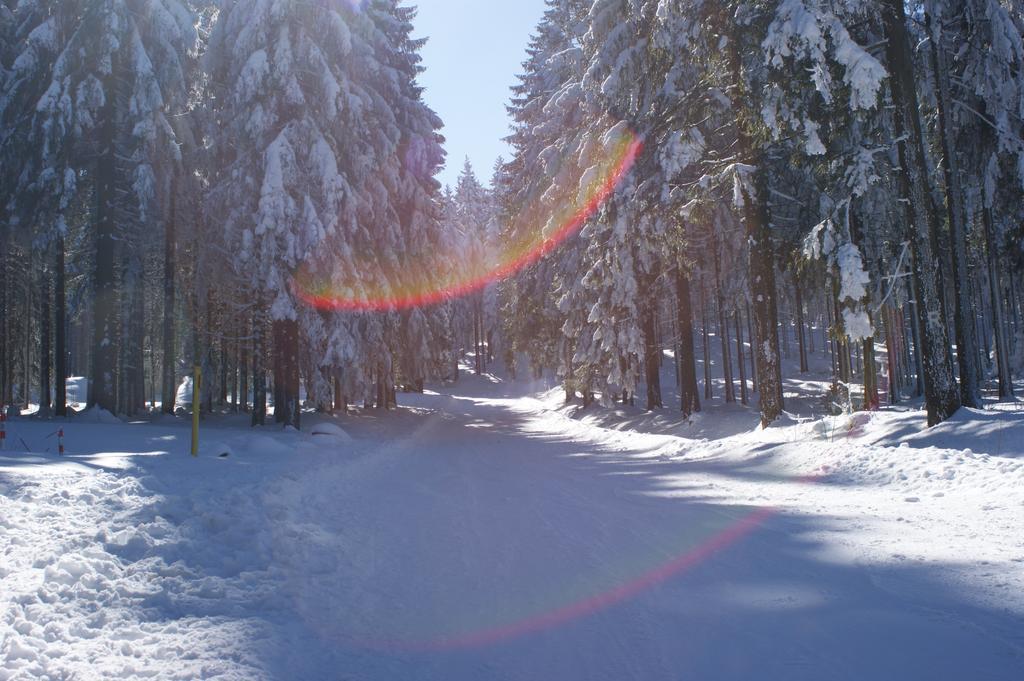 Hotel Haus Oberland Masserberg Eksteriør billede